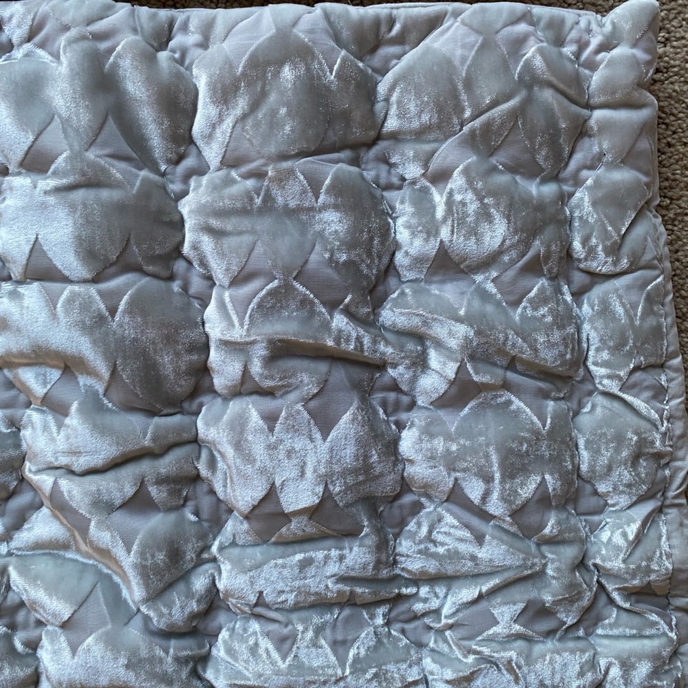 NWT NEW ANTHROPOLOGIE Ellery Velvet set of 2 king shams grey - Picture 10 of 11